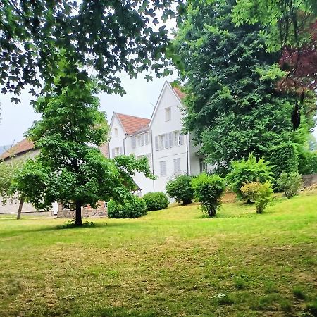 Domaine De La Moselle Bed & Breakfast Saint-Maurice-sur-Moselle Ngoại thất bức ảnh