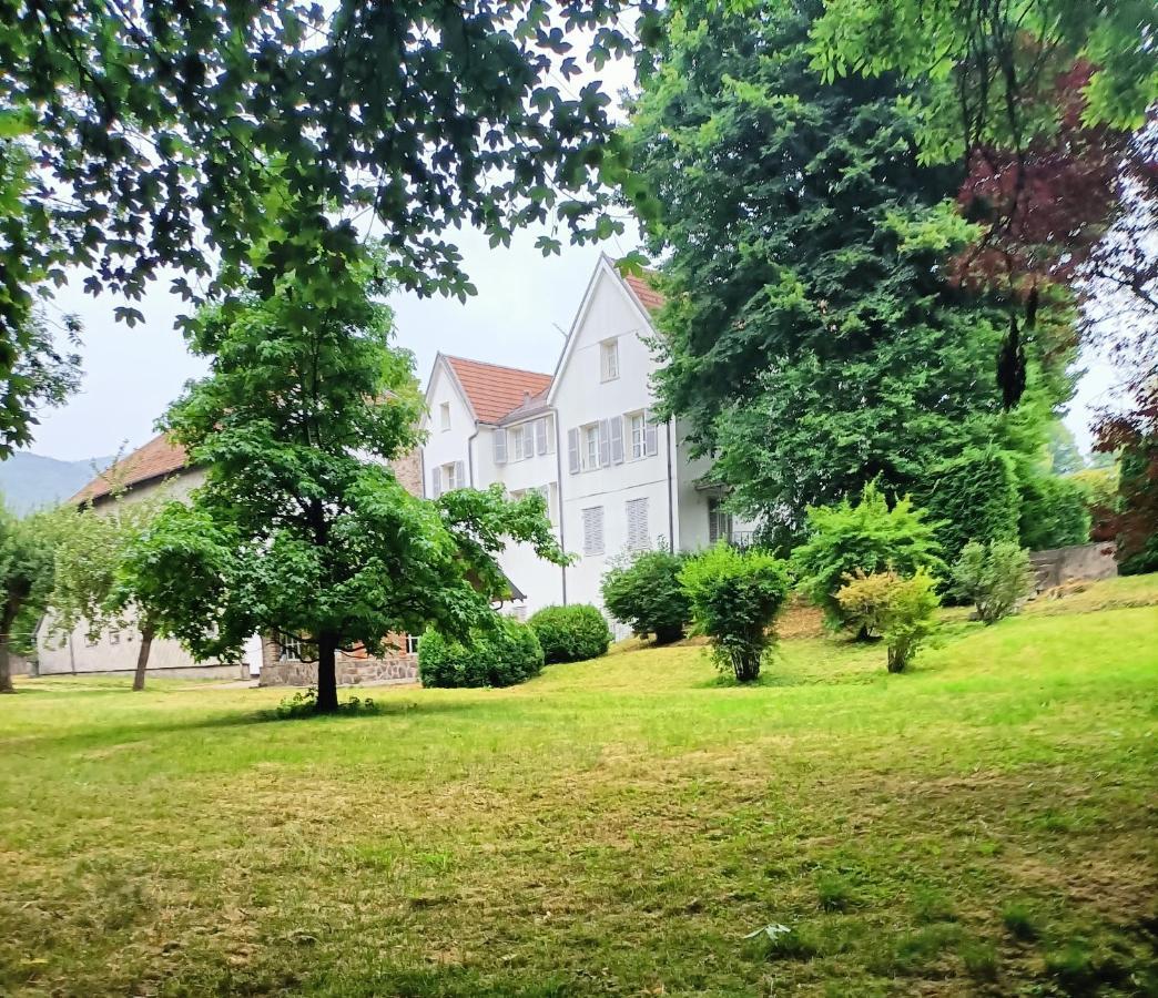 Domaine De La Moselle Bed & Breakfast Saint-Maurice-sur-Moselle Ngoại thất bức ảnh
