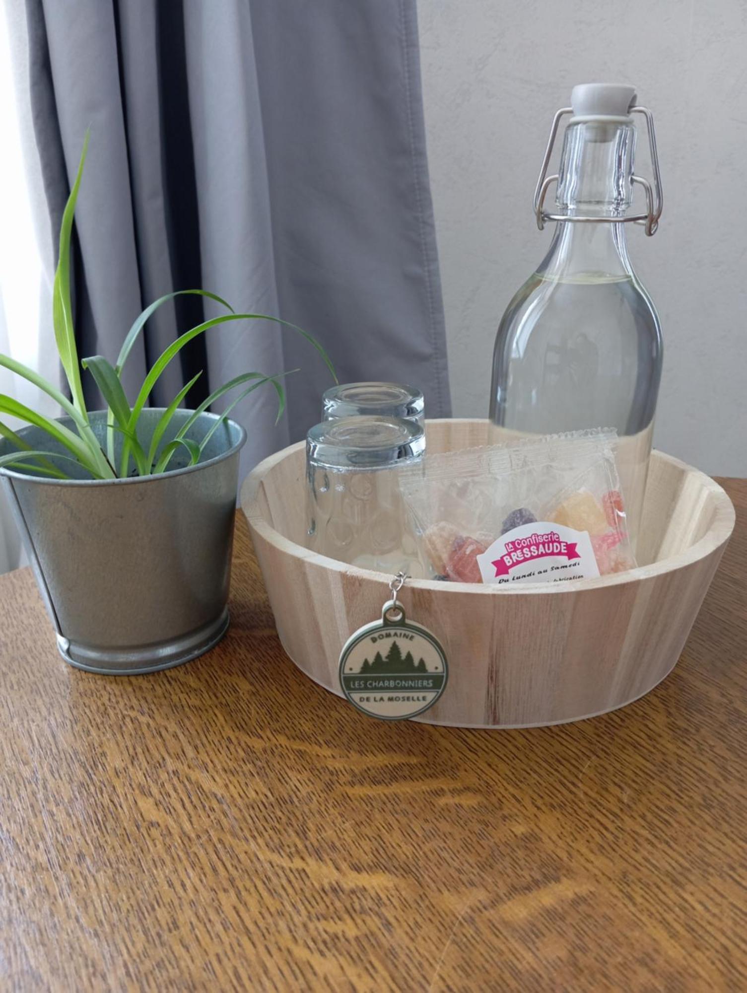 Domaine De La Moselle Bed & Breakfast Saint-Maurice-sur-Moselle Ngoại thất bức ảnh